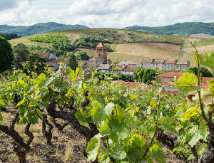 Salles Arbuissonnas en Beaujolais