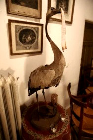 Cabinet de curiosits
